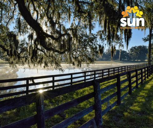 Who Can Drive My Car in Florida? Auto Insurance Rules - Sun Insurance Services