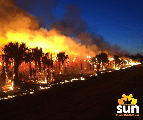 Florida Car Insurance Minimum Coverage - Sun Insurance Services